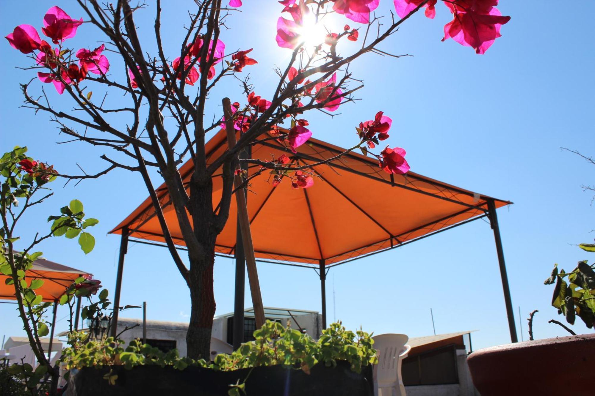 Hotel Oaxaca Magico מראה חיצוני תמונה